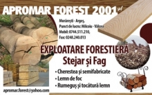 Apromar Forest 2001 SRL Prefabricate Lemn Pitesti Cherestea, Exploatari Forestiere, Taiere, Rindeluire Lemn Arges