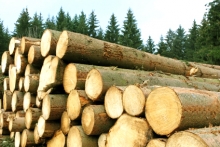 Prefabricate Apromar Forest 2001 SRL Prefabricate Lemn Pitesti Cherestea, Exploatari Forestiere, Taiere, Rindeluire Lemn Arges