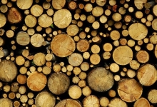 Prefabricate Apromar Forest 2001 SRL Prefabricate Lemn Pitesti Cherestea, Exploatari Forestiere, Taiere, Rindeluire Lemn Arges