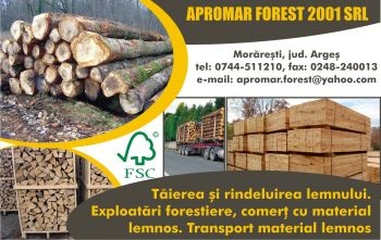 comercializarea cherestelei forestiere